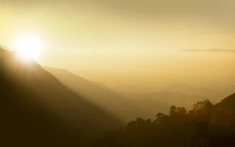 The Personal New Year: The Transit of the Sun on the Natal Sun