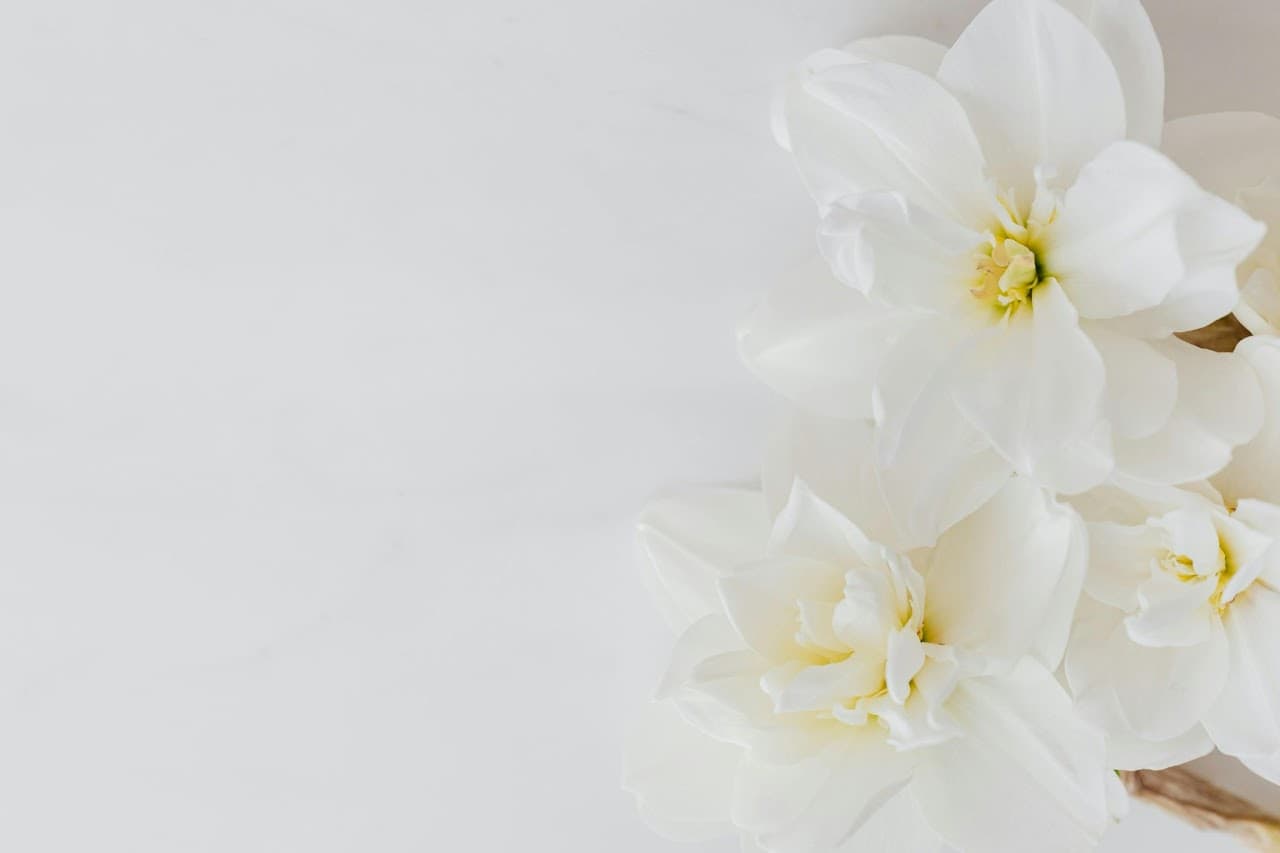 The Energy of the Full Moon Lunar Eclipse in Virgo: Purposeful Purification