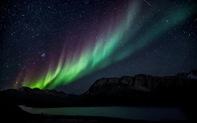 The New Moon in Scorpio: A Deep Dive Into Transformation, Truth, and Emotional Power