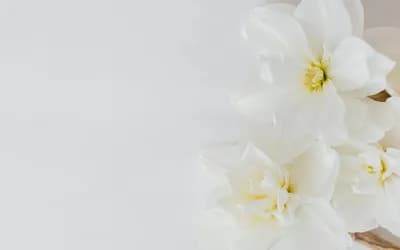The Energy of the Full Moon Lunar Eclipse in Virgo: Purposeful Purification