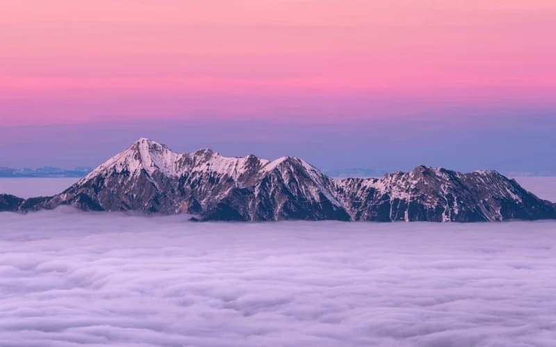 Healing, Growth and Alignment: Navigating December 2025