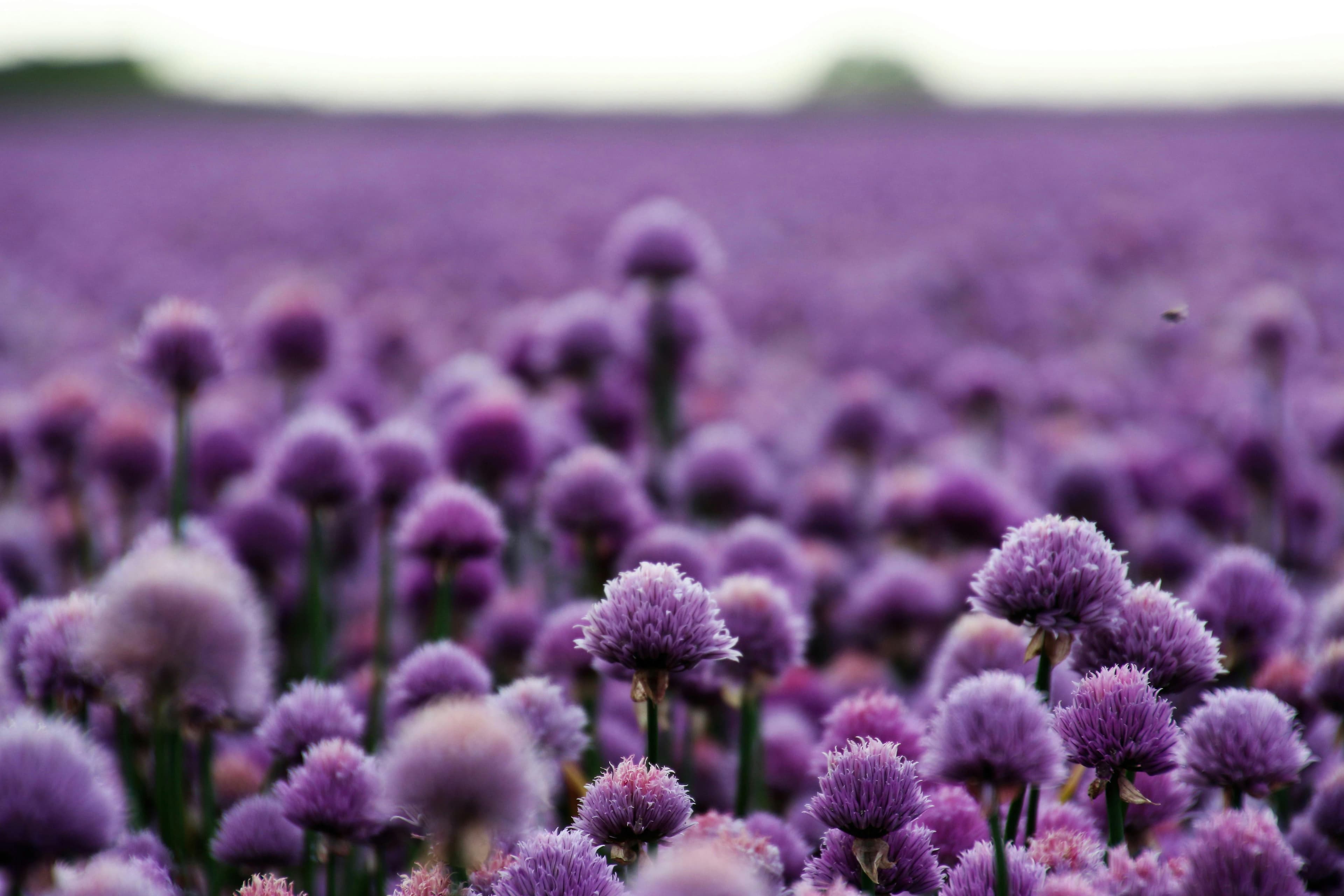 May 2025 Astrology Forecast: Awakening Through Tension and Inspiration