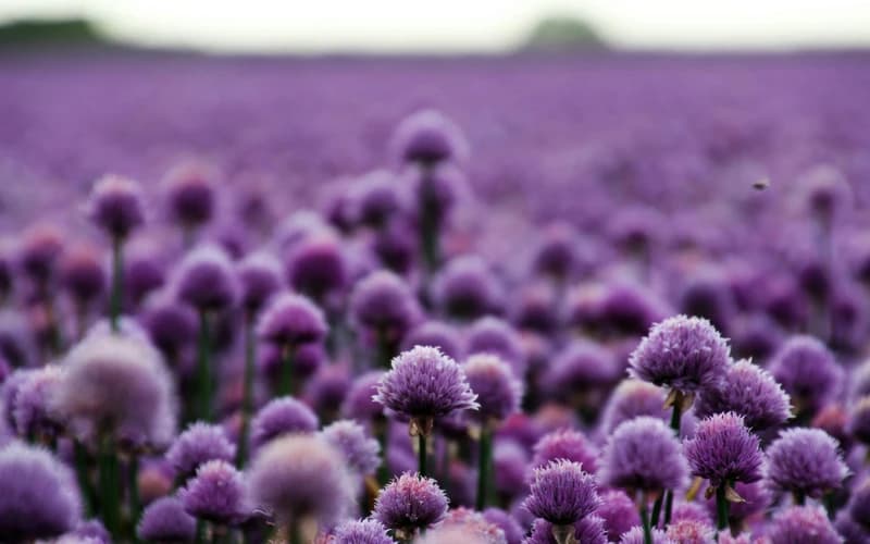 May 2025 Astrology Forecast: Awakening Through Tension and Inspiration