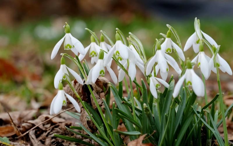 April 2026 Horoscope: Tension, Awakening, and Directed Action