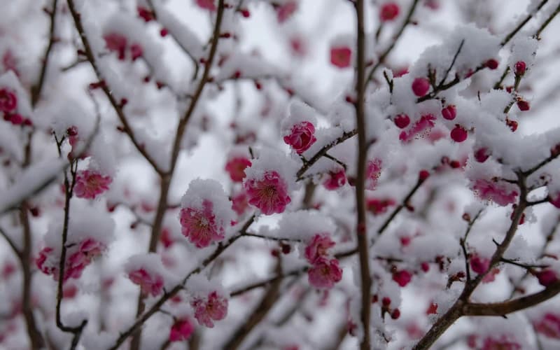 March 2026: Emotional Tides Rising Toward Bold Reinvention