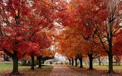 October 2026 Horoscope: Rethinking Desire, Power & Possibility