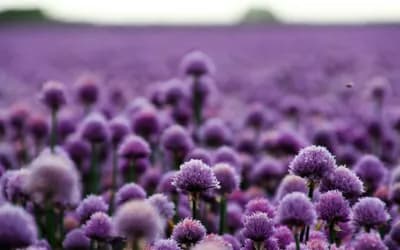 May 2025 Astrology Forecast: Awakening Through Tension and Inspiration
