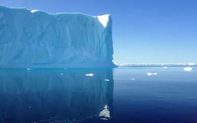 February 2026: Navigating Change, Courage, and Reflection