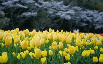 May 2026 Horoscope: When Everything Moves, Choose What Matters