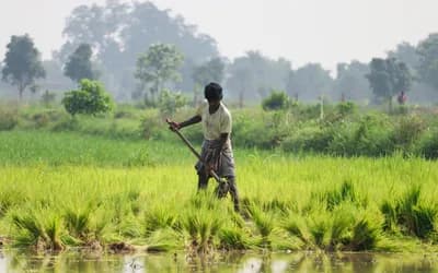 Will That Lasts: The Dynamics Between Mars and Saturn at Birth