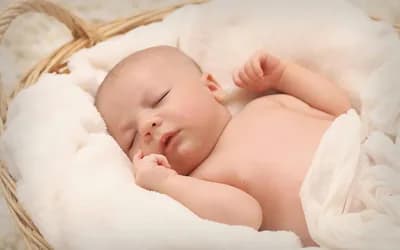 Venus at Birth: Harmonious Beauty