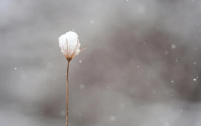 New Moon in Capricorn: Building the Future With Intention