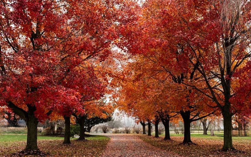 October 2026 Horoscope: Rethinking Desire, Power & Possibility